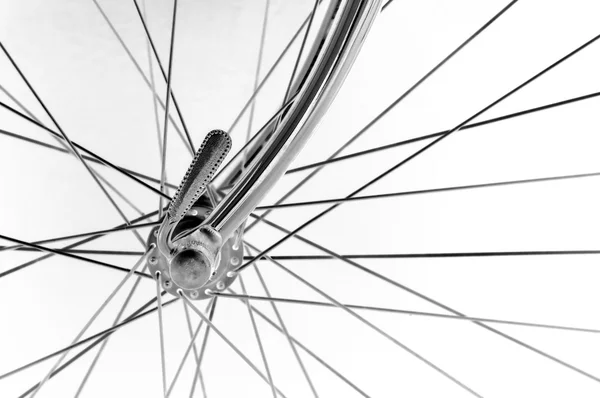 Vintage Bisiklet Ön hazne