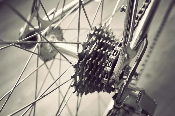 Bicycle's rear wheel — Stock Photo, Image