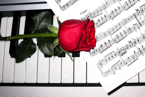 Rose and piano — Stock Photo, Image