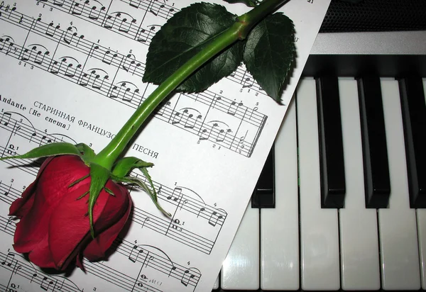 Rose piano music — Stock Photo, Image