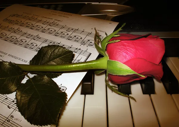 Rose piano music — Stock Photo, Image