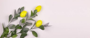 Easter banner. Yellow eggs and branches with gray foliage on a white concrete background. Top view, copy space for text.