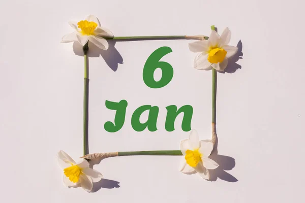 January 6Th Day Month Calendar Date Frame Flowers Narcissus Light — Stock Photo, Image