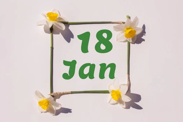 January 18Th Day Month Calendar Date Frame Flowers Narcissus Light — Stock Photo, Image