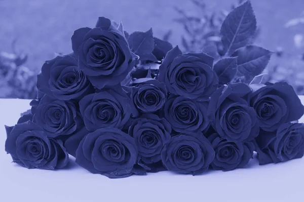Trendy Color 2022 Very Peri Lilac Toned Roses Close — Fotografia de Stock