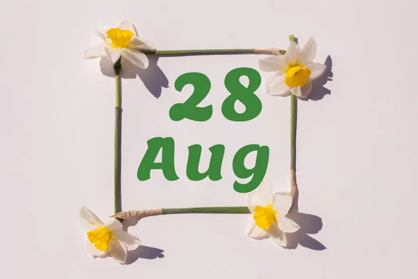 August 28Th Day Month Calendar Date Frame Flowers Narcissus Light — Stock Photo, Image