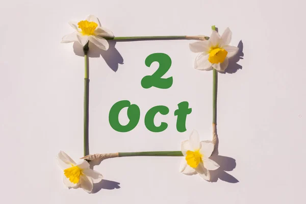 October 2Nd Day Month Calendar Date Frame Flowers Narcissus Light — Stock Photo, Image