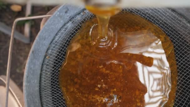 Il miele dell'estrattore di miele viene filtrato attraverso un setaccio. Il miele viene versato dalla canna in un colabrodo. — Video Stock