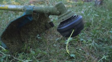 Çim biçme makinesini çalıştırmadan önce açılışı kontrol ediyorum. Kuru ve yeşil otları kesmek için başlık döndürme