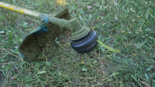 Checking start-up before operating the mower. Rotating thread for cutting dry and green grass — Vídeo de Stock