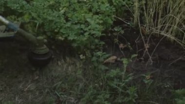 Çim biçme makinesi çimenlikteki taze yeşil çimleri biçer. Kuru ve yeşil otları kesmek için başlık döndürme