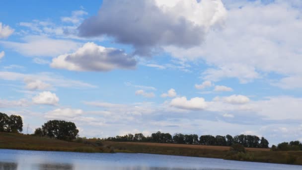 Мальовничий краєвид влітку з красивими хмарами, що відображають воду і дерева на горизонті — стокове відео