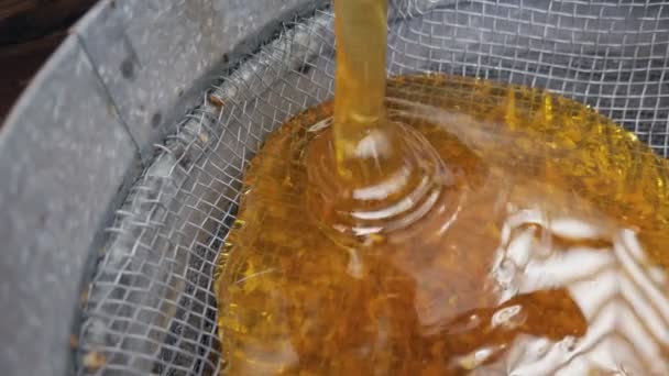 Le miel de l'extracteur de miel est filtré à travers un tamis. Le miel est versé du tonneau dans une passoire. — Video