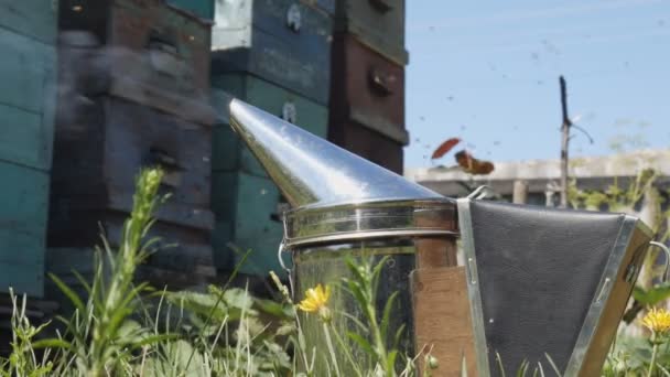 Rökarnas verktyg röker på bikupan. Smoker är ett biodlingsverktyg som lugnar bin med rök i kupan. — Stockvideo