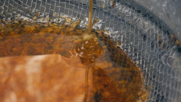 Le miel de l'extracteur de miel est filtré à travers un tamis. Le miel est versé du tonneau dans une passoire. — Video