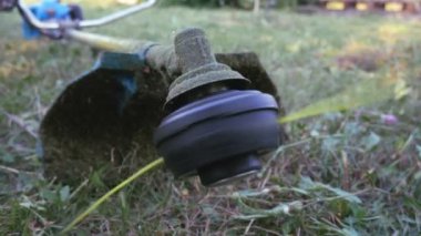 Çim biçme makinesini çalıştırmadan önce açılışı kontrol ediyorum. Kuru ve yeşil otları kesmek için başlık döndürme