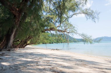 Andaman Denizi 'nin ortasında, Koh Yao Yai PhanfNga Tayland' da sakin bir sahil..