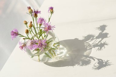 Yaz çiçekleri cam vazosu. Beyaz bir masada kır çiçekleriyle güzel, havadar bir yaz. Doğum günü hediyesi, yıldönümü, anne. Parlak güneş ışığı ve güzel gölgeler. Yatay kartpostal