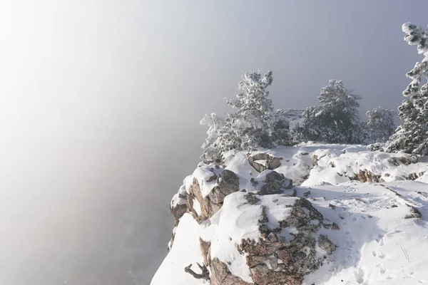Montañas Pino Nieve Fabuloso Paisaje Mágico Invierno Paseo Por Las — Foto de Stock