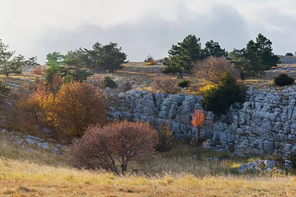 Hösten Landskap Stenar Träd Bergskedja Med Färgglada Flerfärgade Träd Naturlig — Stockfoto