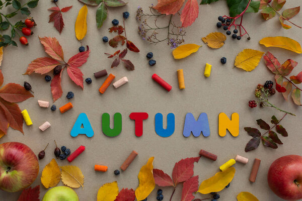 Осенняя композиция вид сверху. Плоская кладка орехов, листьев, ягод, осенних яблочных цветов и художественных мелков на нейтральном бежевом сером фоне. Творческая концепция сбора урожая, красочные дни. Адская осень.