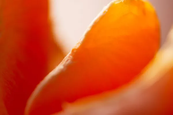 Fundo Macro Mandarim Partes Laranja São Close Apetitoso Doce Luz — Fotografia de Stock