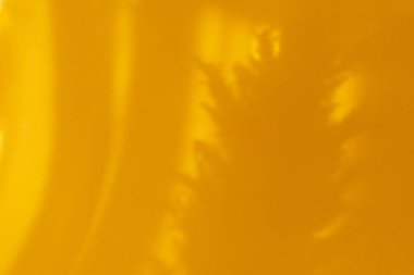 Pampas otları doğal soyut arka plan. Turuncu ton, modaya uygun doğal gölgeler, dizaynlar için kil kum doğal gölgeler. Yumuşak çimen makrofotoğrafçılığı. Modern moda iç dekorasyon. Boşluğu kopyala