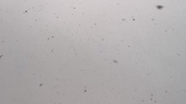 Kar yağıyor. Aşağıdan yukarıya gri gökyüzü arkaplanı. Yoğun kar yağışı, soyut çizimler. Kış konsepti, hava değişimi, beklenmedik soğuk çarpması. Üzgün ruh hali, güneşsiz gri günler..