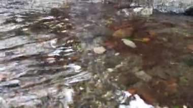 Nehirdeki temiz su. En saf derede sığ derinlik. Kayalar ve kumlu bir taban görülebilir. Suyun yavaş hareketi. Kristal gibi berrak dağ nehri. Çevresel koruma. Doğal arkaplan.