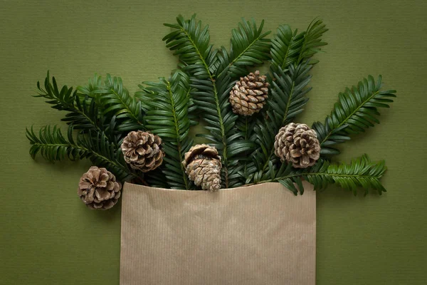 Świerk Gałęzie Szyszki Zielonym Tle Boże Narodzenie Naturalny Świąteczny Design — Zdjęcie stockowe