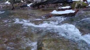 Yakın planda azgın bir dağ nehri. En saf su güçlü bir derede taşlardan aşağı akar. Nehir kışın eriyen kardan hızla akar. Doğa ekolojisi kavramı, su kaynakları.