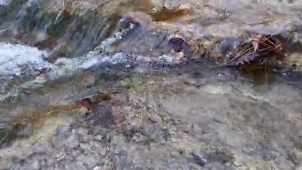 Wściekła Górska Rzeka Bliska Najczystsza Woda Spływa Kamieniach Silnym Strumieniem — Wideo stockowe