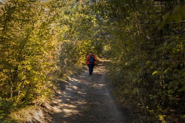 Erkek turist sonbahar ormanı dikiz aynası. Sırt çantalı bir adam sonbahar ormanında yürüyor. Renkli dikey arka plan ve parlak uzun ağaçlar. Aktif eğlence ve turizm kavramı.