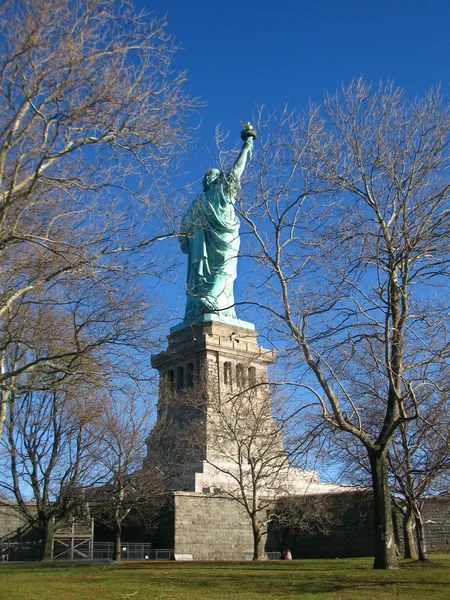 New york: ongewone Achteraanzicht van de statue of liberty, een Amerikaans symbool. Liberty island, new york city, Verenigde Staten — Stockfoto
