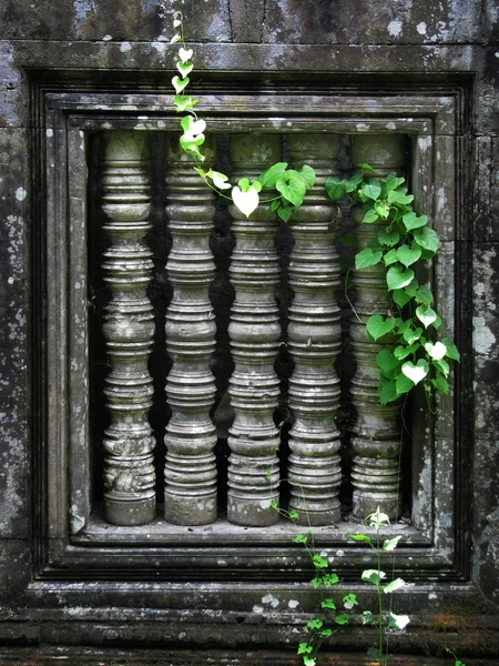 Jungle eating the amazing temple of Beng Mealea (12th century), — Stock Photo, Image