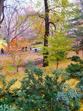 Central park ve onun güzel renkler sonbahar ve kış. Yeni