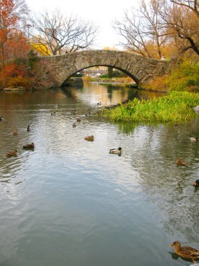 Central park: gapstow köprü ve sonbaharın güzel renklerini
