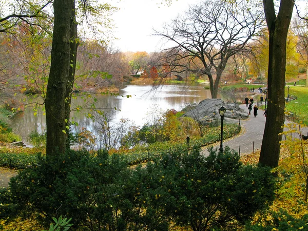 Центральный парк и его красивые цвета в Автумне и Зиме. Новые — стоковое фото