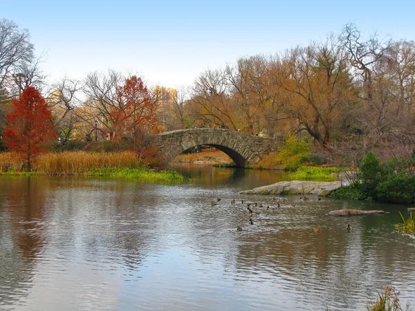 Central Park: il ponte di Gapstow e i suoi bellissimi colori in autunno — Foto Stock