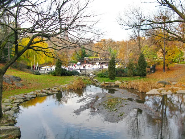 Central park i jego piękne kolory jesieni i zimy. Nowy — Zdjęcie stockowe