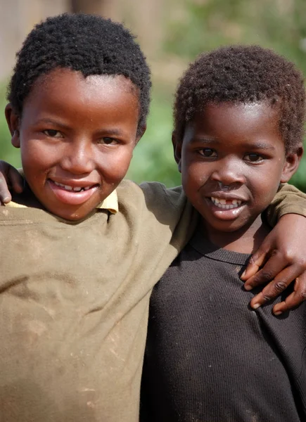 Brothers in Adversity — Stock Photo, Image