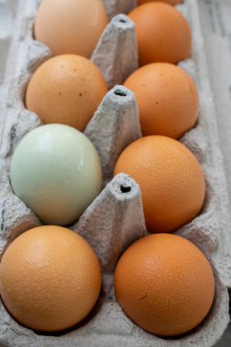 12 paket karton karton içinde çok renkli yumurtalar.