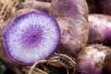 Freash Asya Sebze PURPLE DAIKON RADISH kesiti