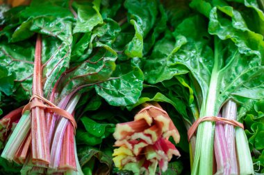 İsviçre pazarı kauçuk bantlı organik freash hasadı.