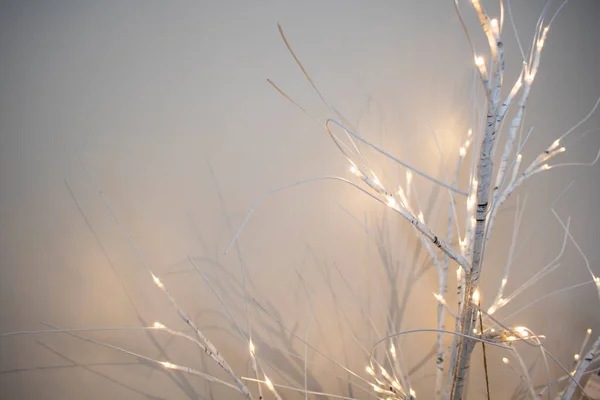 Upscale Holiday Festive White Lemb Tree Light Built — 图库照片
