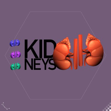 Grafik biçimlendirilmiş illüstrasyon, simgeler, semboller ve insan iç organlarının böbrekleri.