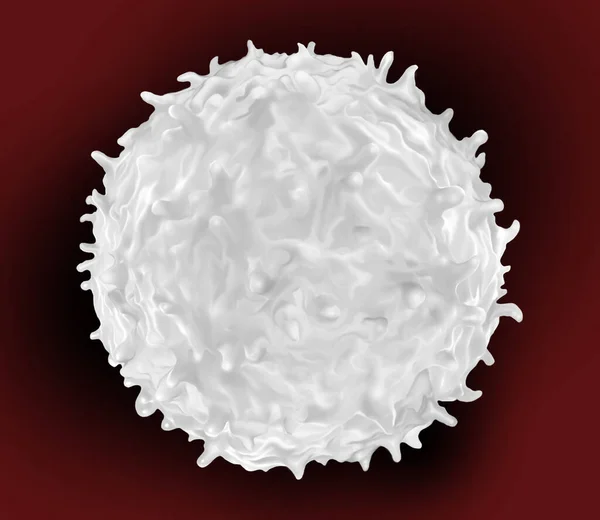 White Blood Cells Found Throughout Body Blood Lymphatic System — Stock Photo, Image