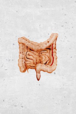 Modern beautiful stylized monotone human intestines organ symbols and icons - part of a set