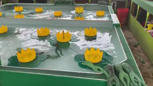 Guma Frog Bog Carnival Game Gumowy Młot Katapulta Skok Lilizak — Wideo stockowe