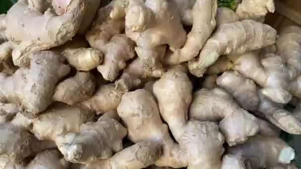 Frais Gingembre Épice Asiatique Récolte Vendre Marché Des Encadreurs Bouquet — Video